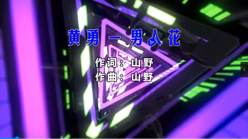 黄勇 – 男人花 (Dj阿华 Electro Mix) 热舞vj