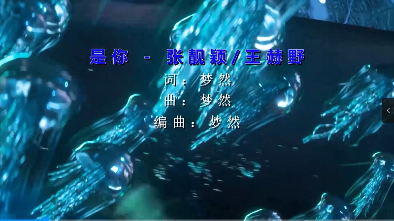 张靓颖vs王赫野 – 是你 (Dj锦先森 ProgHouse Mix) 现场mv