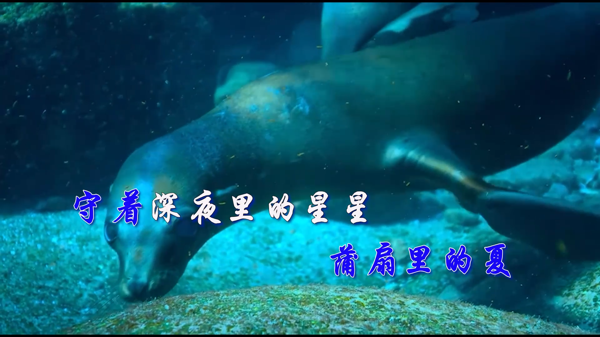 【米柒视频网】 承桓 – 我会等 (Dj小罗 ProgHouse Mix) 素材vj [www.mqmix.com].mp4