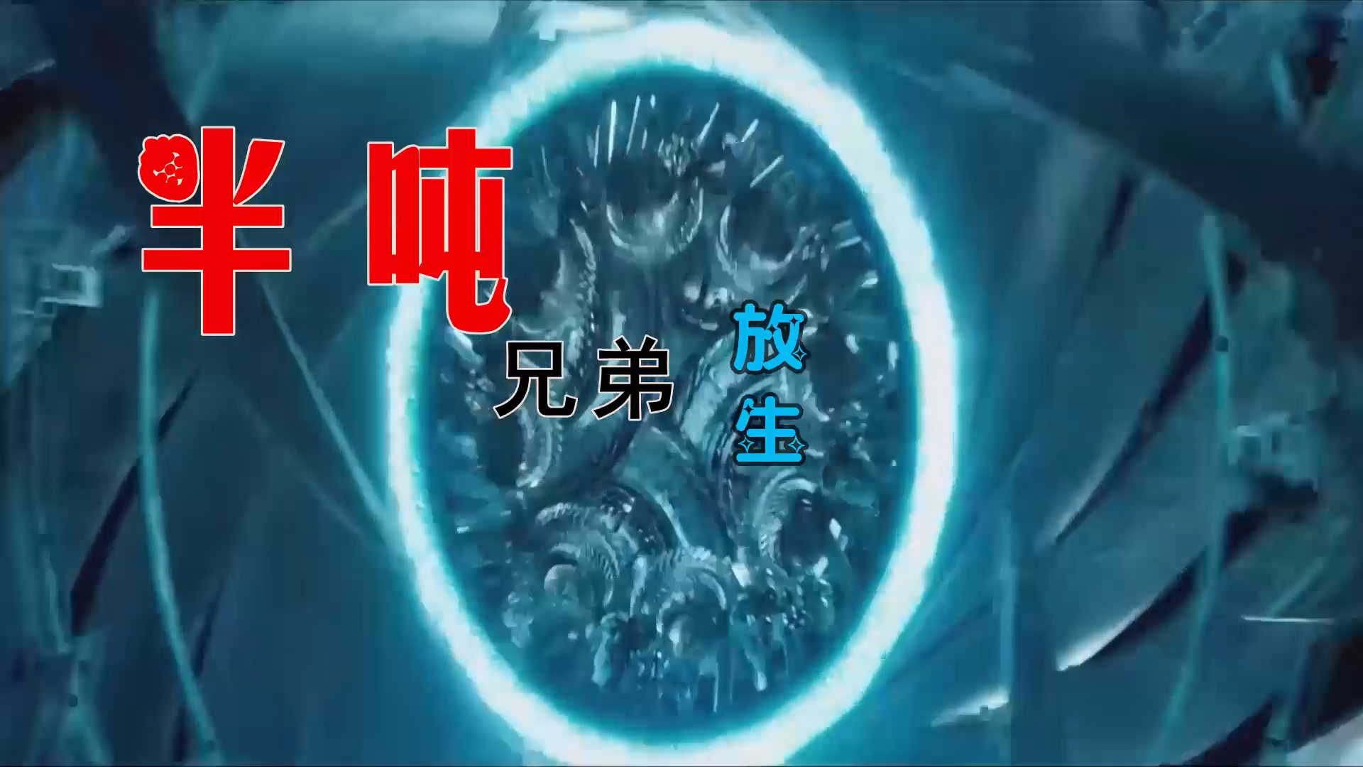 【米柒视频网】Zeng曾定制：半吨兄弟 – 放生 (DjWave浪 Mix) 素材vj [www.mqmix.com].mp4