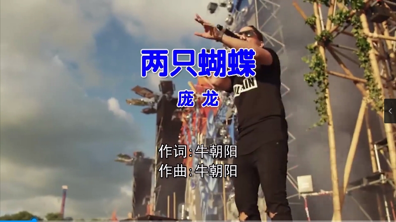 两只蝴蝶 – 庞龙 – (Dj夜猫Music ProgHouse Mix国语男) 现场