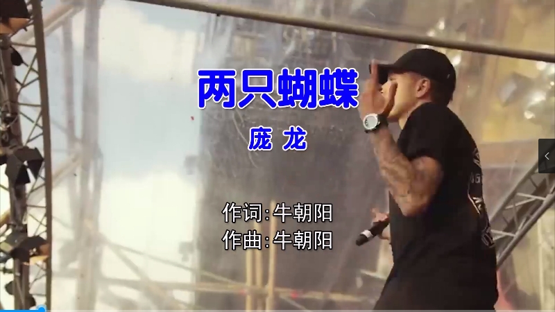 两只蝴蝶 – 庞龙 – (McYaoyao Electro Mix国语男) 现场