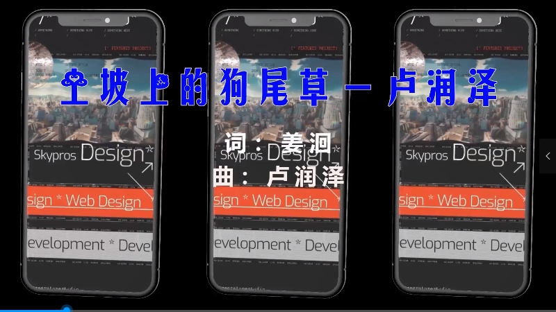 【米柒视频网】卢润泽 – 土坡上的狗尾草 (Dj师爷 ProgHouse Mix) 素材vj [www.mqmix.com].mp4