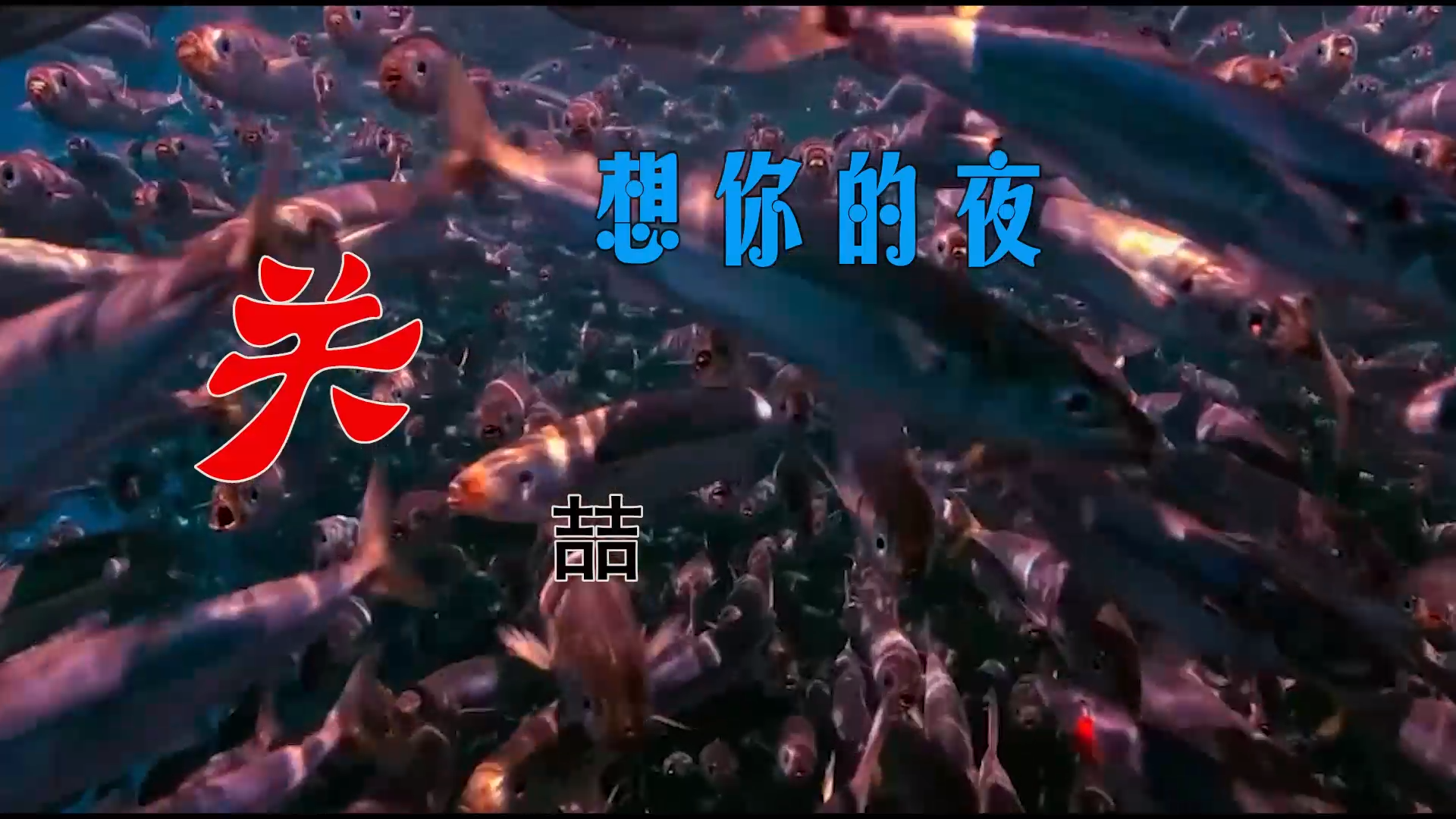 【米柒视频网】子航定制：关喆 – 想你的夜 (Dj海文 LakHouse Mix) 素材vj [www.mqmix.com].mp4