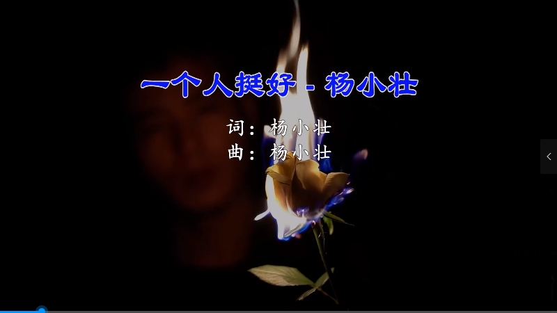 【米柒视频网】杨小壮 – 一个人挺好(Dj蒋璇 ProgHouse Mix) 现场mv [www.mqmix.com].mp4