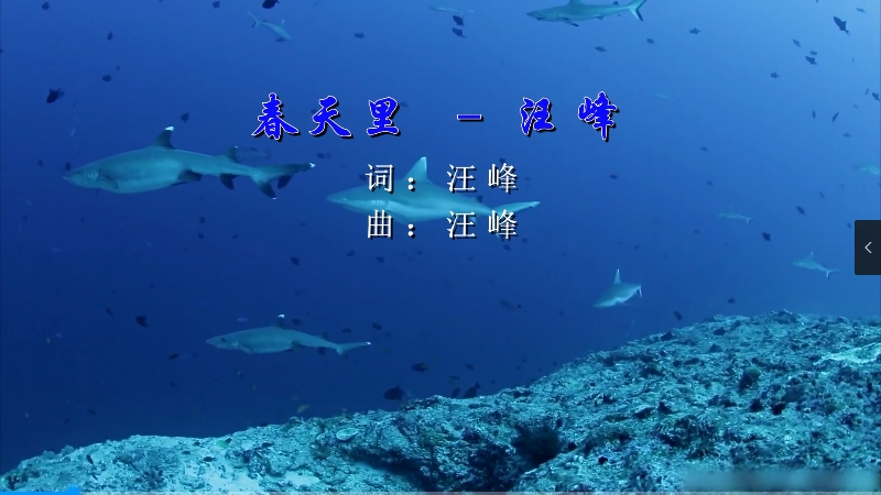 【米柒视频网】汪峰 – 春天里 (Dj炮哥 ProgHouse Mix) 现场mv [www.mqmix.com].mp4