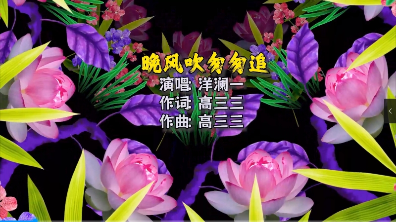 【米柒视频网】洋澜一 – 晚风吹匆匆追(内蒙Dj阿龙 Electro Mix) 热舞vj [www.mqmix.com].mp4