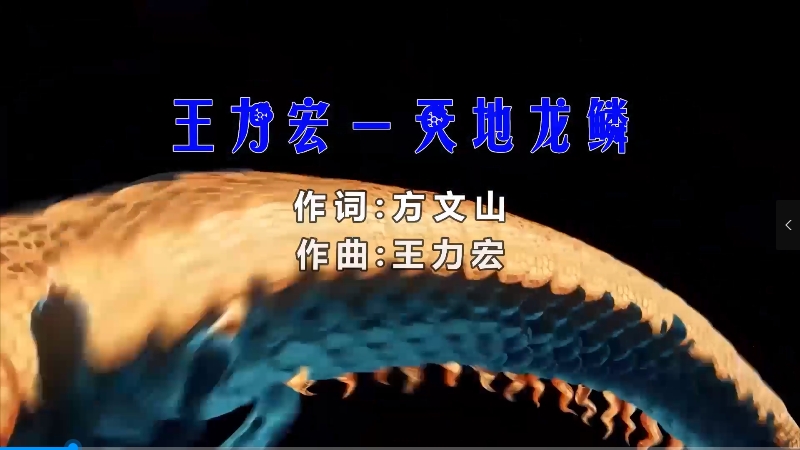 【米柒视频网】王力宏 – 天地龙鳞 (DjBIN Electro Mix) 热舞vj [www.mqmix.com].mp4