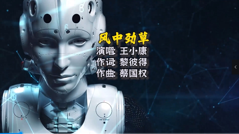 【米柒视频网】王小康 – 风中劲草(Dj平仔 Electro Mix) 夜店vj [www.mqmix.com].mp4