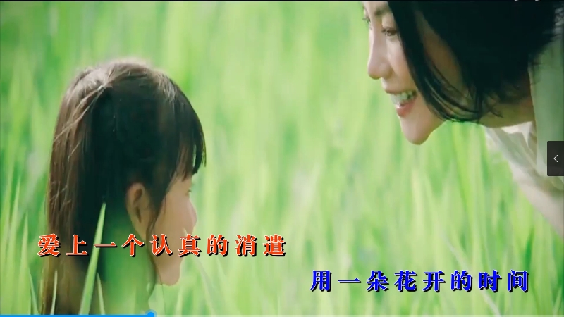 【米柒视频网】王菲 – 流年 (Dj欧东 ProgHouse Mix) 影视vj [www.mqmix.com].mp4