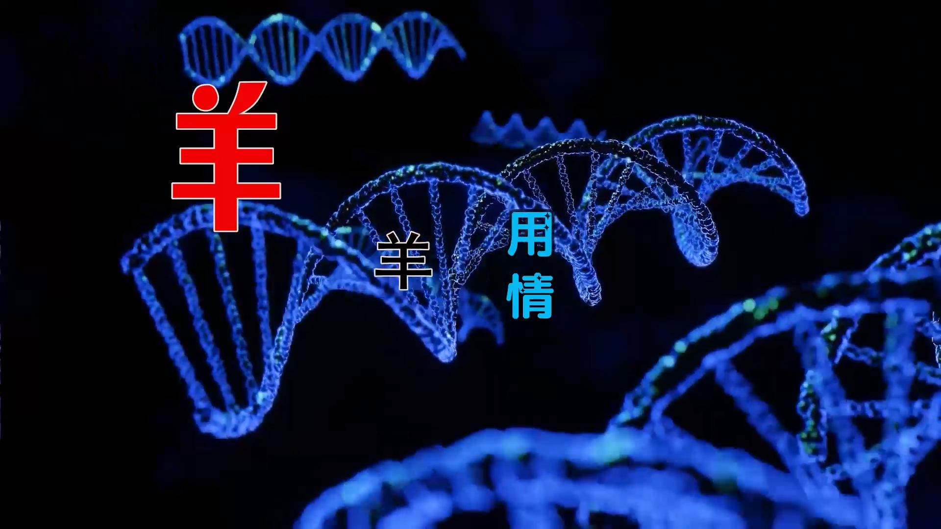 【米柒视频网】羊羊 – 用情 (DjKzai ProgHouse Mix) 素材vj [www.mqmix.com].mp4