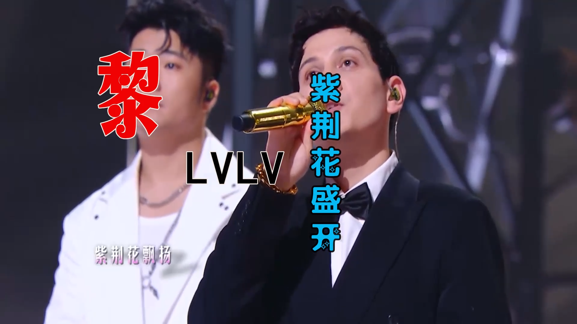 【米柒视频网】群星 – 紫荆花盛开 (DjRer Lak House Mix) 现场mv [www.mqmix.com].mp4